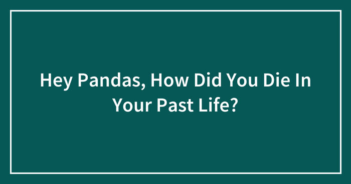 Hey Pandas, How Did You Die In Your Past Life? (Closed)