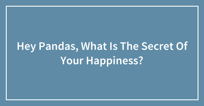 Hey Pandas, What Is The Secret Of Your Happiness? (Closed)