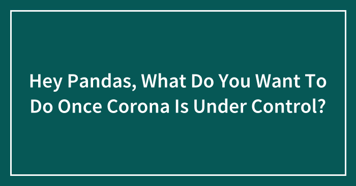 Hey Pandas, What Do You Want To Do Once Corona Is Under Control? (Closed)
