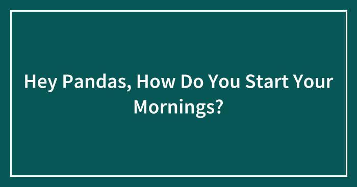 Hey Pandas, How Do You Start Your Mornings? (Closed)