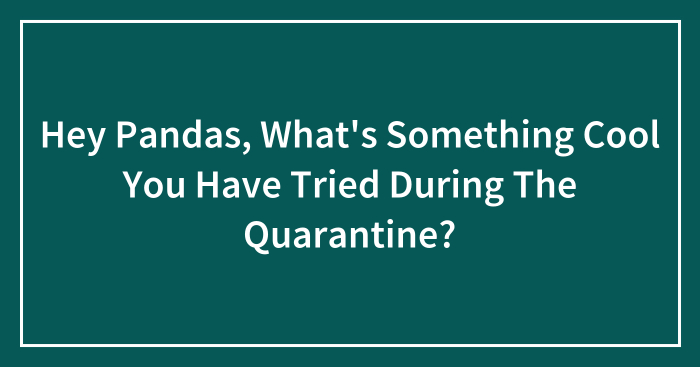 Hey Pandas, What’s Something Cool You Have Tried During The Quarantine? (Closed)