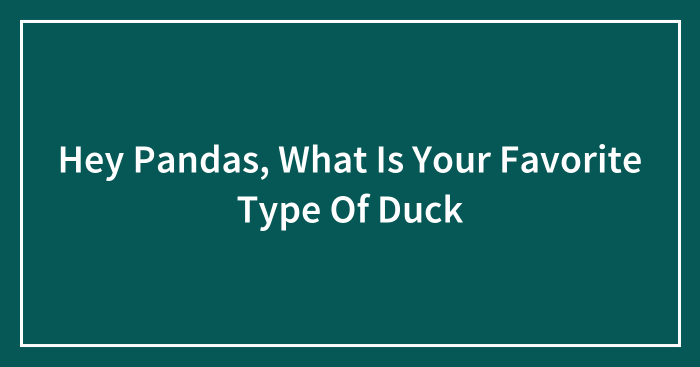 Hey Pandas, What Is Your Favorite Type Of Duck