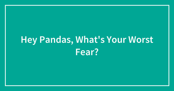 Hey Pandas, What’s Your Worst Fear? (Closed)