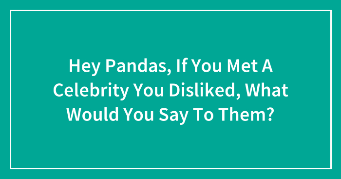 Hey Pandas, If You Met A Celebrity You Disliked, What Would You Say To Them? (Closed)
