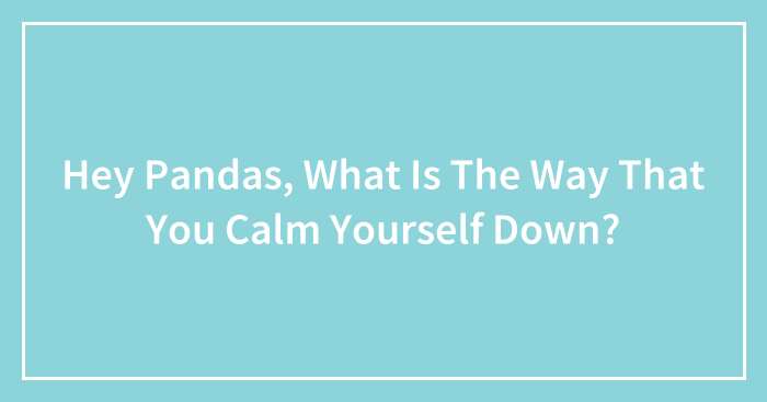 Hey Pandas, What Is The Way That You Calm Yourself Down? (Closed)