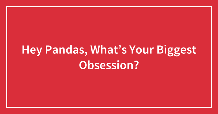 Hey Pandas, What’s Your Biggest Obsession? (Closed)