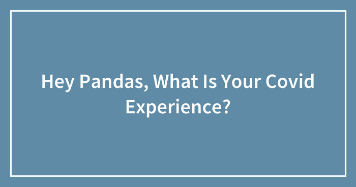 Hey Pandas, What Is Your Covid Experience? (Closed)