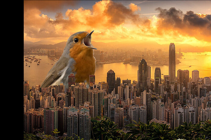 Kaiju Bird
