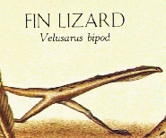 fin-lizard-60c3971a80f72.png