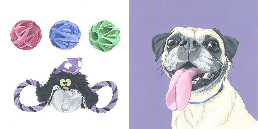 Fred Loves Two Things In Life: These Plastic Balls And This Weird Spider Rope Toy