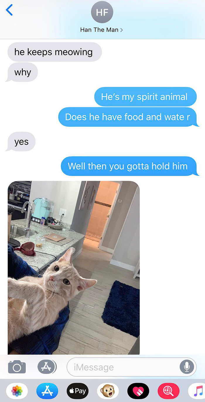 My Sister Is Babysitting My Cat, Benny. He’s Very Demanding