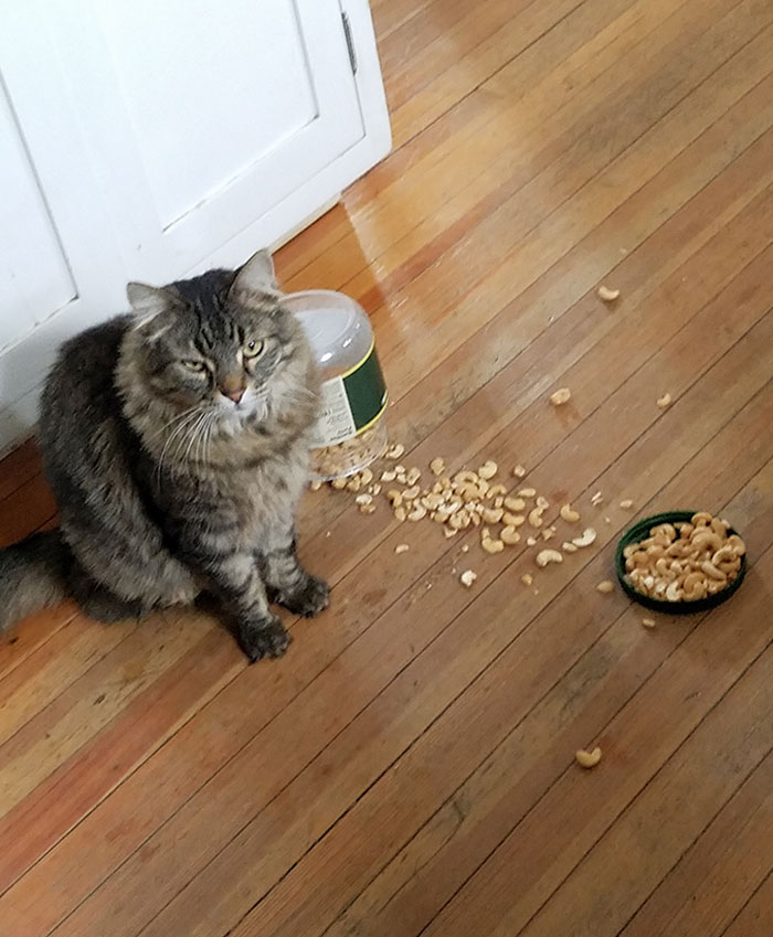 When Breakfast Is At 7:00 But It's 7:02 And You Still Haven't Been Fed