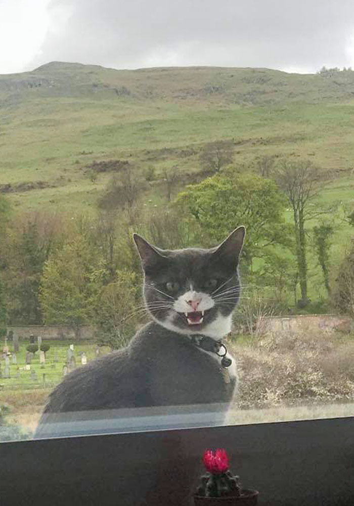 It's Never A Polite "Can You Let Me In Please?"