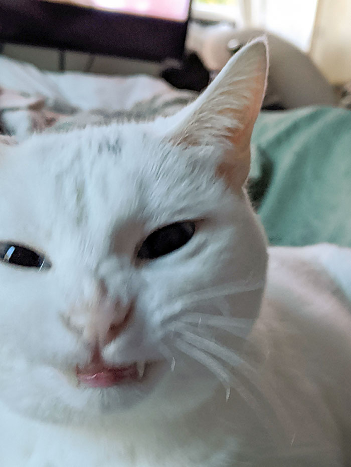 Where's My Breakfast At 5:57 Am