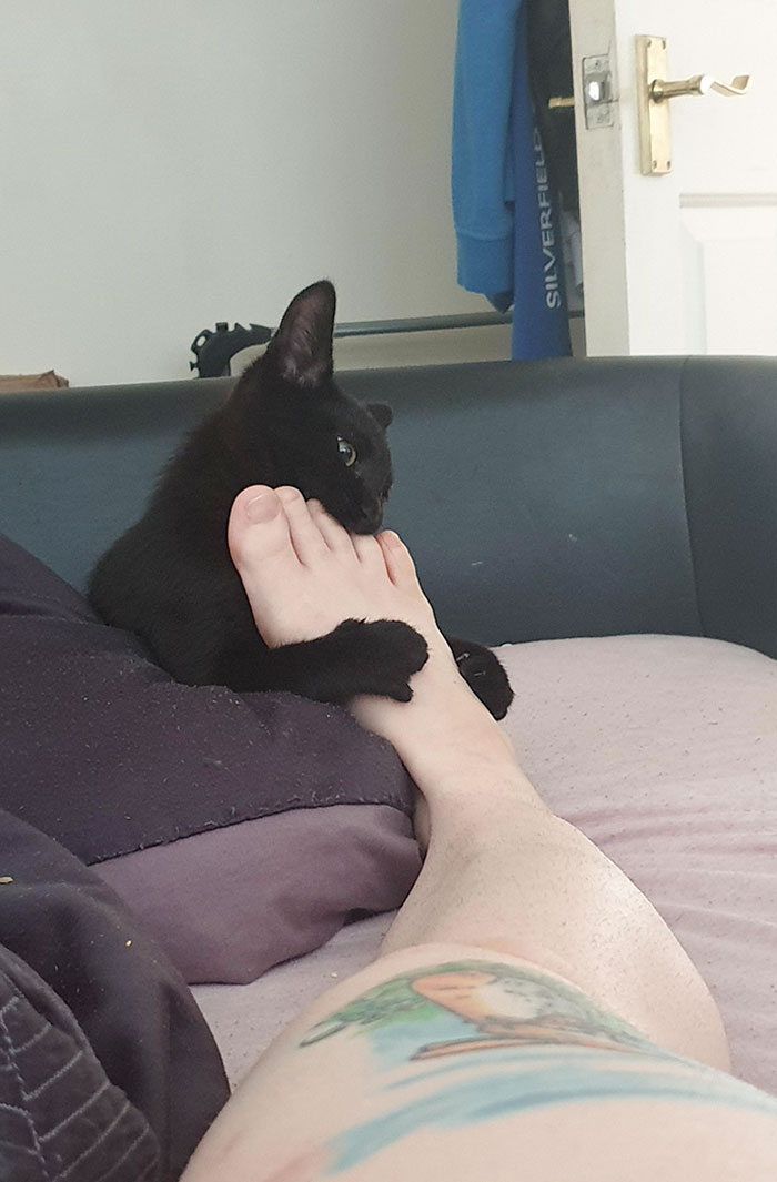 Ah, It Must Be Morning