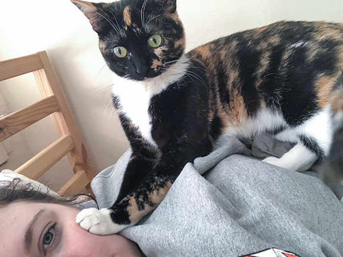 Thanks For The Early Alarm