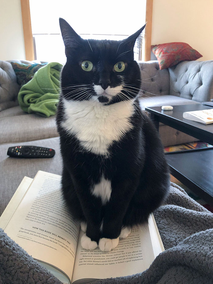 Not Even 10 Pages In