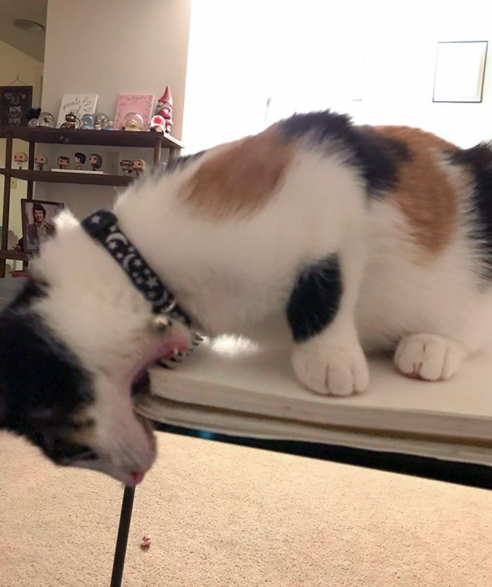 I’m Just Trying To Draw