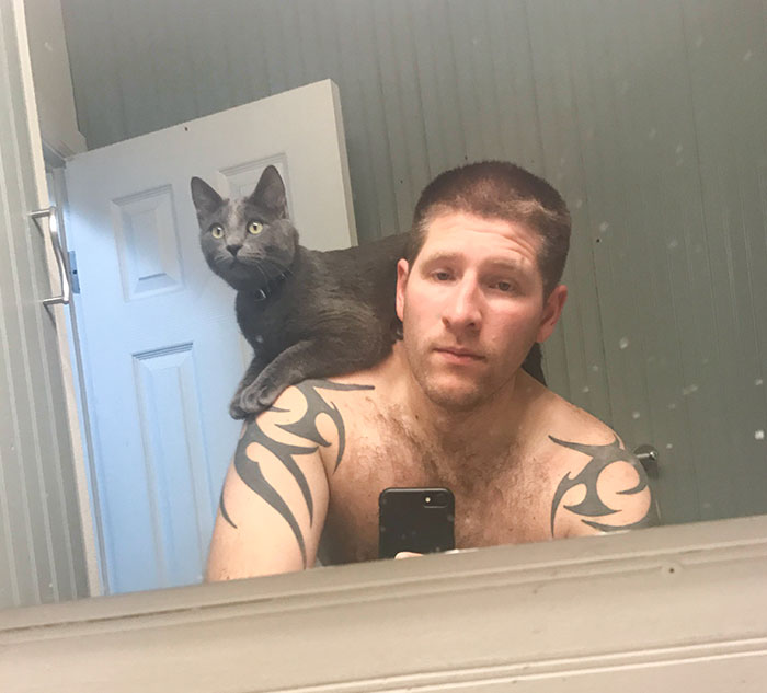 Can’t Even Brush My Teeth In Peace