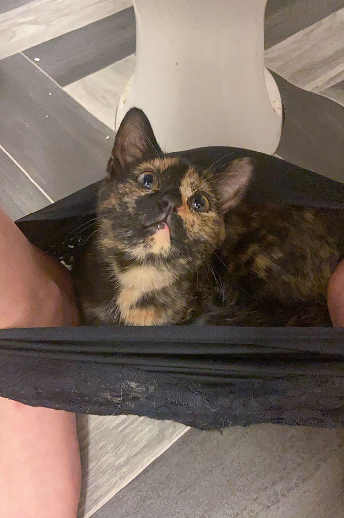 I Can’t Even Pee In Peace Anymore