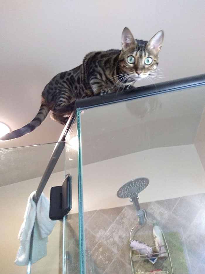 Can I Just Have 5 Minutes Alone?