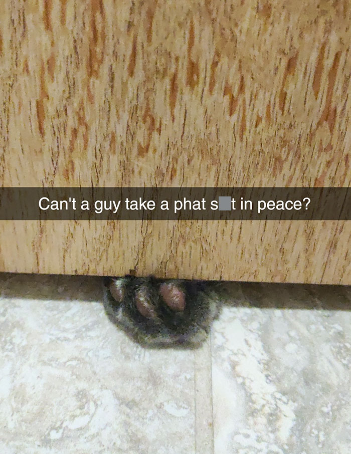 I Don't Bother Him On The Litter Box