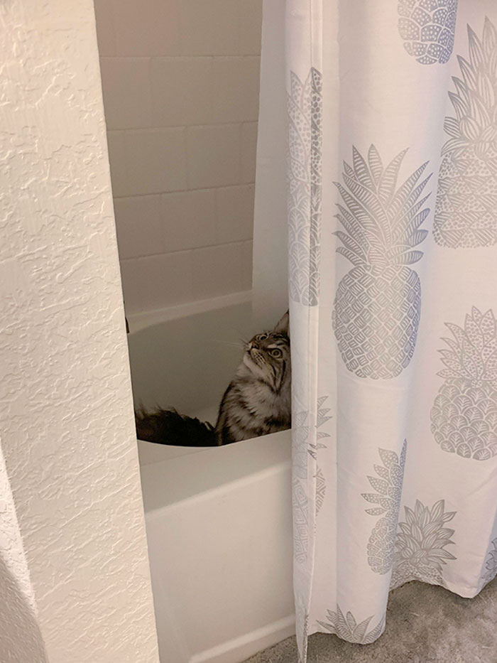 Benny Recently Learned That The Acoustics In The Shower Will Amplify His Voice And Protect Him From The Squirt Bottle