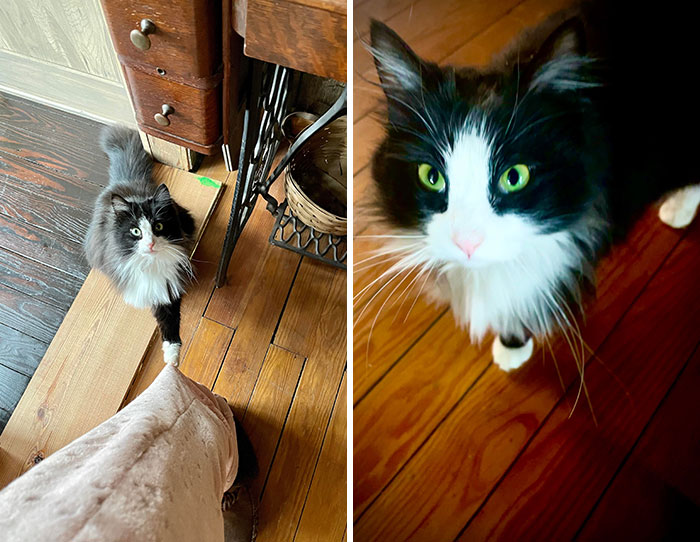 Ellie Being A Cute Little Jerk