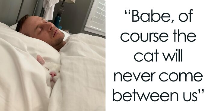 50 Spoiled Cats That Probably Live Better Than You (New Pics)