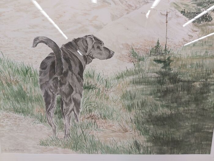 Not Terrible, But The Dog's Rump Being So Prominent Is Distracting To Me. $14.99 Value Village, Hamilton, On