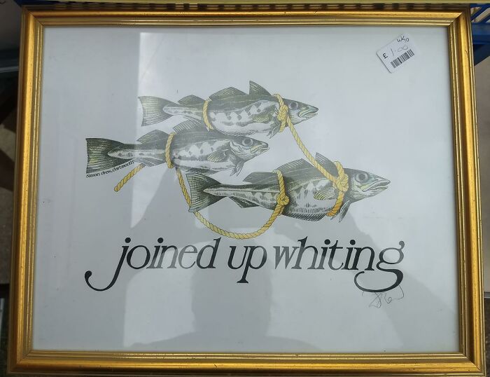 One Squid? Not Sprat Bad, I Suppose... I Cod Have Bought It, But Refishted... Etc Seen Outside Red Cross Charity Shop In Burnham On Crouch, Essex