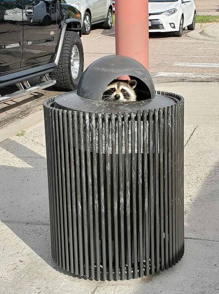 Intruder Alert At The Evans Army Hospital On Fort Carson. He Is A Possible Enemy Spy.the Authorities Have Been Alerted. See Something, Say Something