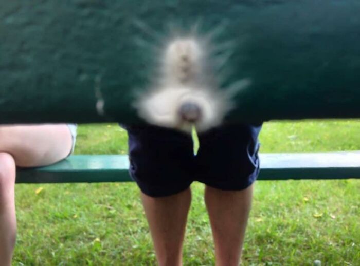 This Beautiful, If Somewhat Unfortunate Photo, Taken When We Were On Holiday In Goderich, Ontario , Is Of A Weird Canadian Caterpillar. My Husband Owns The Legs Behind It, In Case You Were Wondering