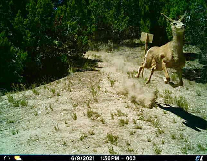 Photoshoppers, Do Your Worst