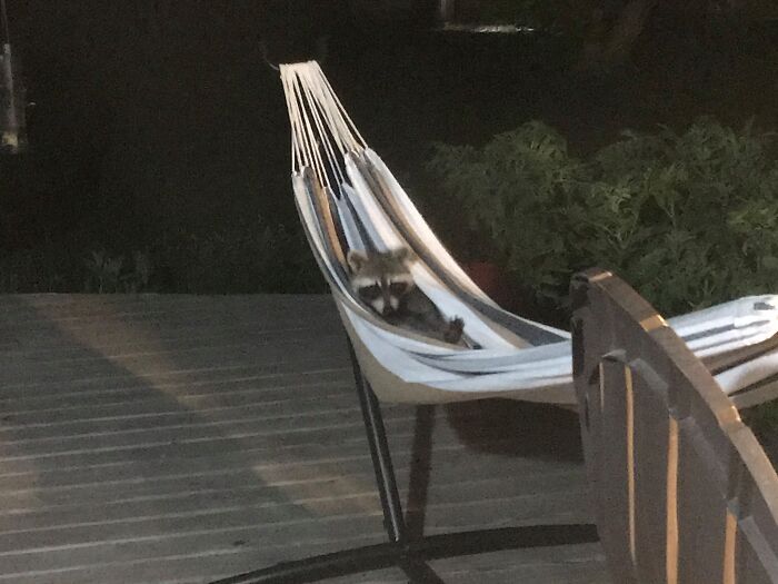 Hey! That Is For People!