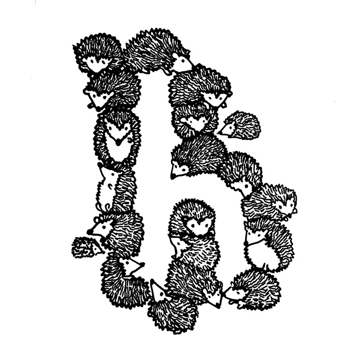 H For Hedgehog