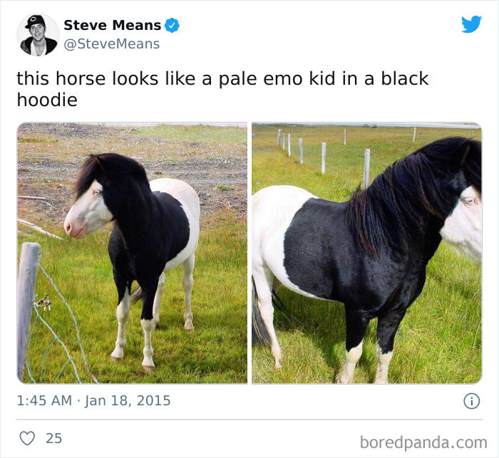 Thanks, I Hate Emo Horse