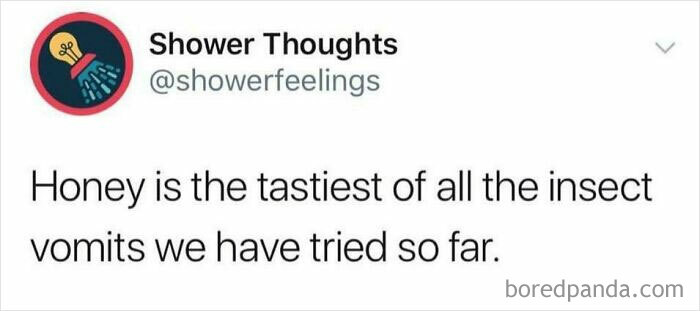 Thanks, I Hate Honey