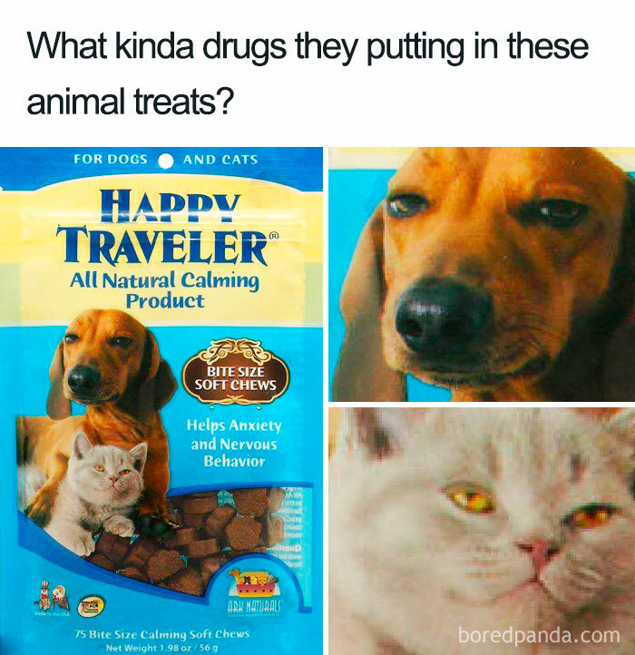 Thanks I Hate “Calming Product”