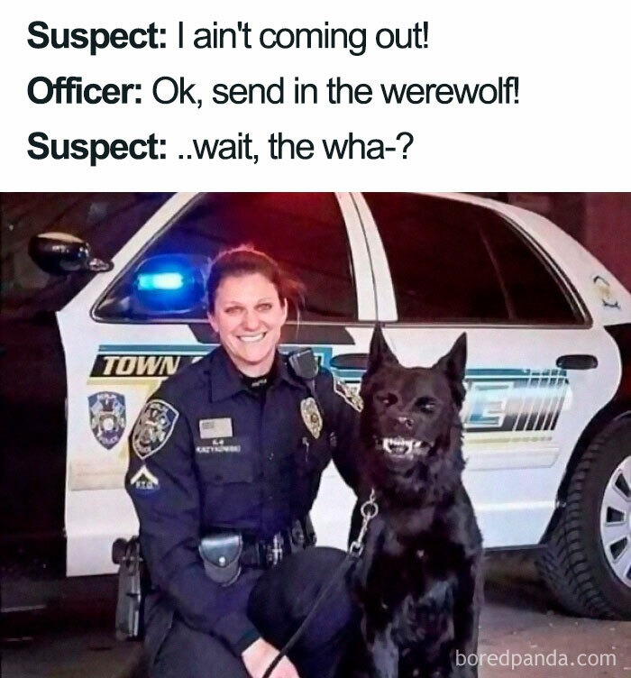 Thanks, I Hate Police Werewolves