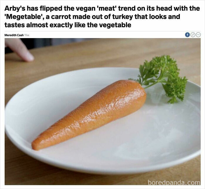 Thanks, I Hate Megetables