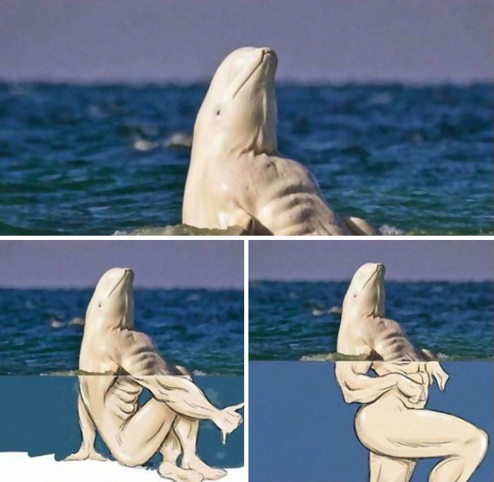 Thanks, I Hate Beluga Whales