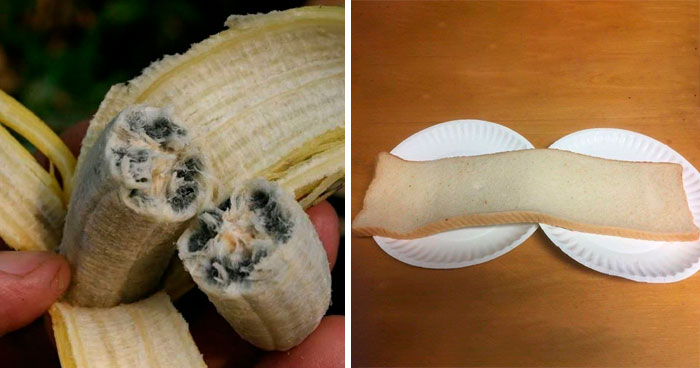 20 Cosas inquietantes que la gente compartió en la página «Gracias, lo odio»