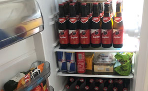 “Let’s Take A Look Into Your Fridge”: Pandas From All Over The World Show The Contents Of Their Fridge (29 Pics)