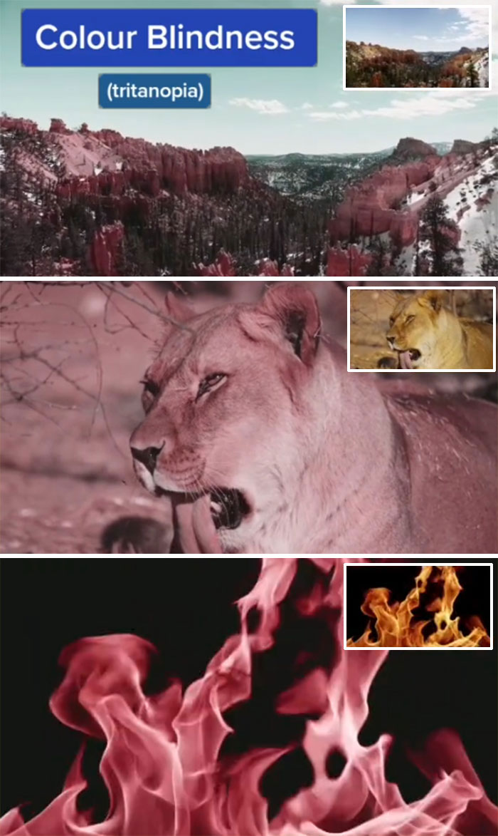 How-People-With-Certain-Medical-Conditions-See