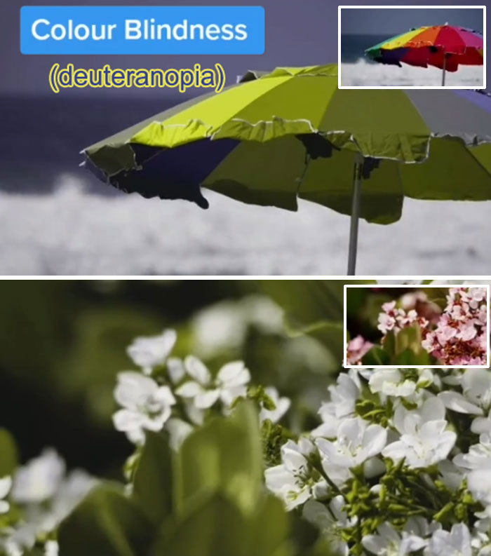 How-People-With-Certain-Medical-Conditions-See