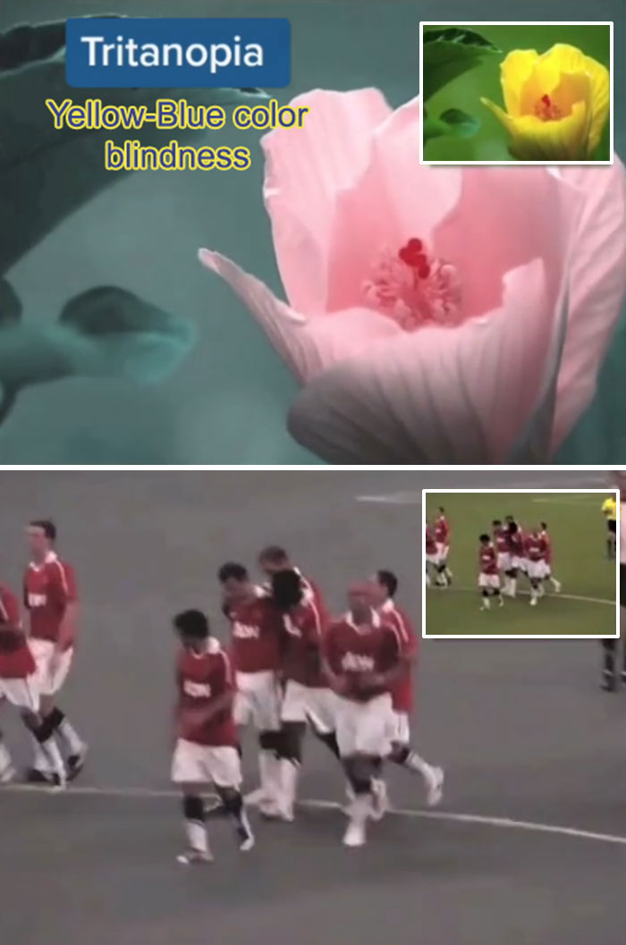 How-People-With-Certain-Medical-Conditions-See