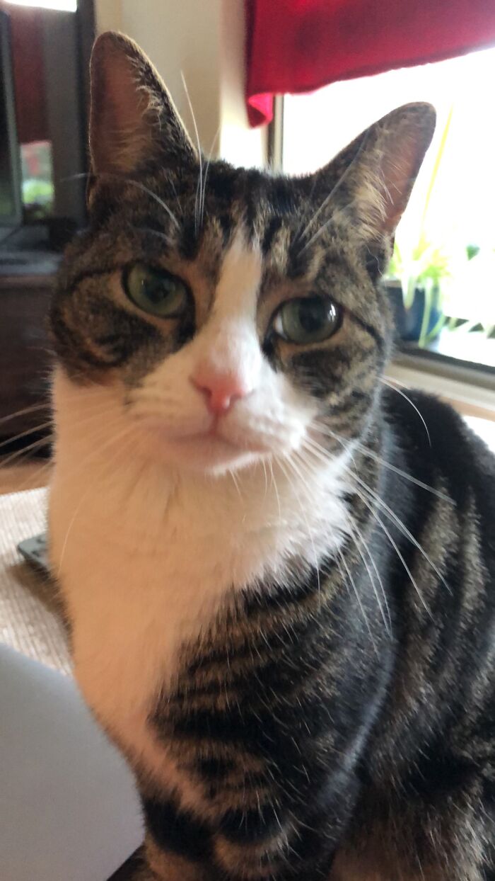 Miss Consuella Banahammock Aka Nana