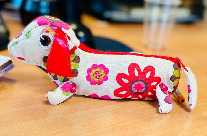 A Random Photo To Show Off, The Snazzy Dog Purse I Had Bought, To My Sister!