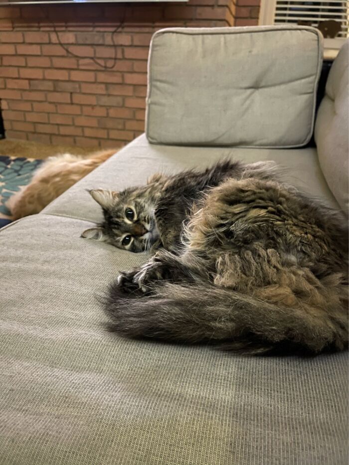 Priscilla, We Live In Memphis So It Should Be Obvious.